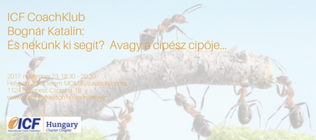 Bognár Katalin: És nekünk ki segít?