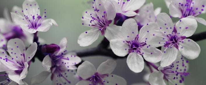 Hogyan találkozunk össze – az ICF és én?