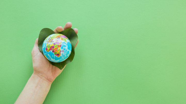 A coaching, a mentoring és szupervízió nemzetközi szervezeteinek nyilatkozata